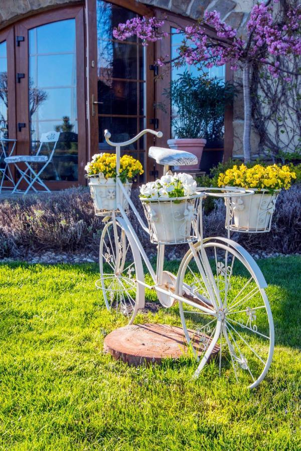 Feniks Agro&Spa Adults Only Swinoujscie Dış mekan fotoğraf